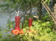Enlarge photo 11