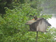 Enlarge photo 49