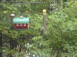 Enlarge photo 50