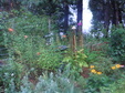 Enlarge photo 51