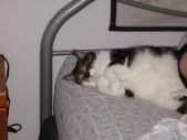 Enlarge photo 11