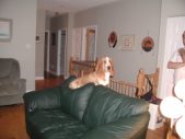Mar 29 2003