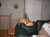 Enlarge photo 5