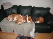 Enlarge photo 19