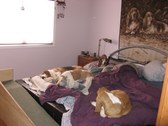 Enlarge photo 31