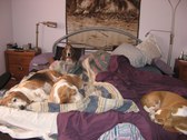 Enlarge photo 32