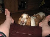 Enlarge photo 17