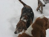 Enlarge photo 27