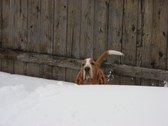 March 2008 Storm 2