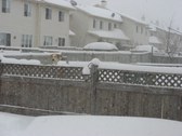 Enlarge photo 16
