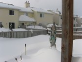 Enlarge photo 29