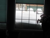 Enlarge photo 31