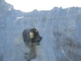Enlarge photo 46