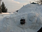 Enlarge photo 59