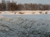 Enlarge photo 60