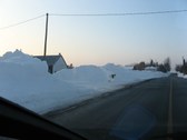 Enlarge photo 61