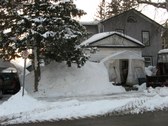 Enlarge photo 68
