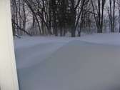 Enlarge photo 78