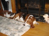 Enlarge photo 12