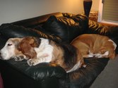 Enlarge photo 13