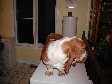 Enlarge photo 26
