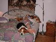 Enlarge photo 15