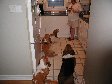 Enlarge photo 38