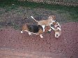Enlarge photo 43