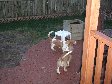 Enlarge photo 44