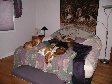 Enlarge photo 47