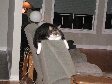 Enlarge photo 49
