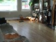 Enlarge photo 54