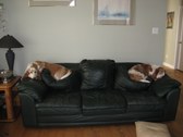 Enlarge photo 2