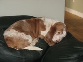 Enlarge photo 3