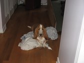 Enlarge photo 5