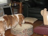 Enlarge photo 12