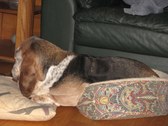 Enlarge photo 16