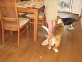 Enlarge photo 21