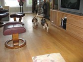 Enlarge photo 31