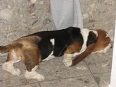 Enlarge photo 39
