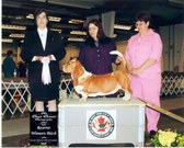 Enlarge photo 4