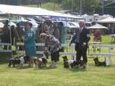 Enlarge photo 26