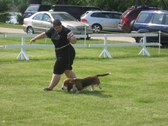 Enlarge photo 27