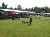 Enlarge photo 31