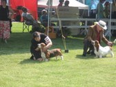 Enlarge photo 32