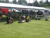 Enlarge photo 33