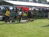 Enlarge photo 35