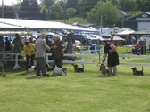 Enlarge photo 34