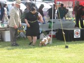 Enlarge photo 37