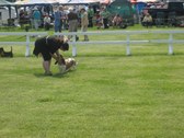 Enlarge photo 39